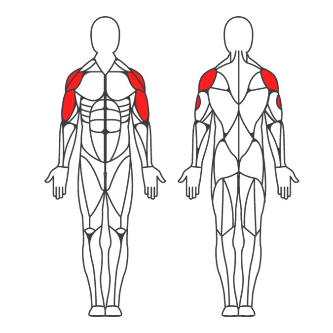 train shoulders, bicep